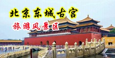 大鸡巴桶小穴视频中国北京-东城古宫旅游风景区
